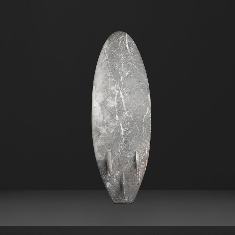 Tabla Surf Longboard Mediana de Mármol