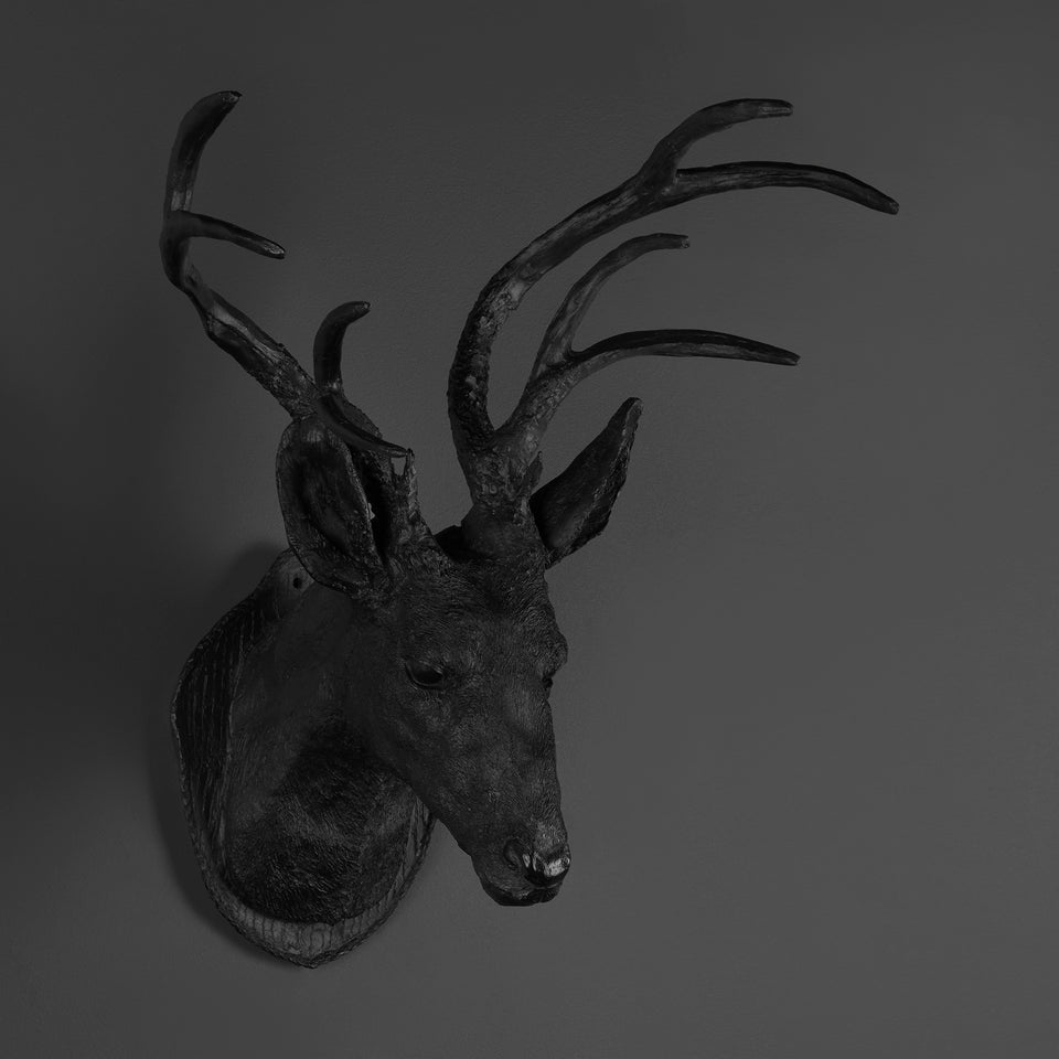 Cabeza De Venado Grande para Muro