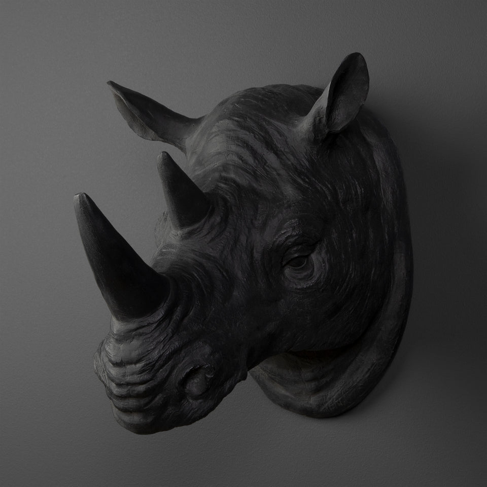 Rinoceronte Para Muro