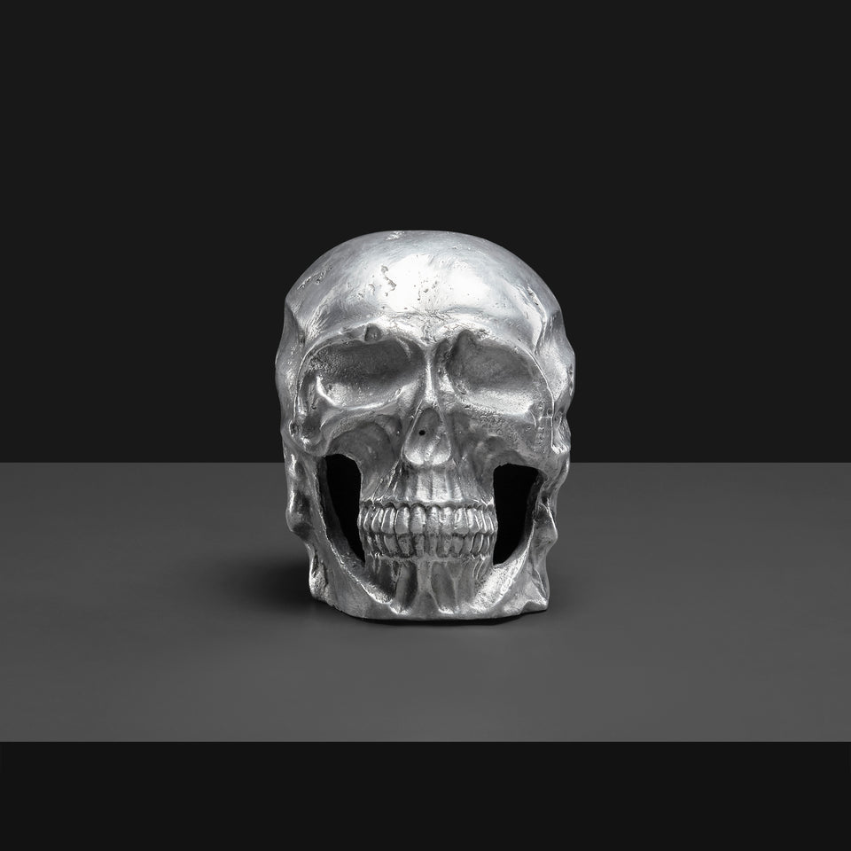 Cráneo Rex Aluminio - Casa-Armida-Store