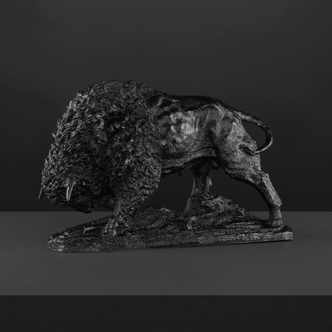 Bisonte Bulto